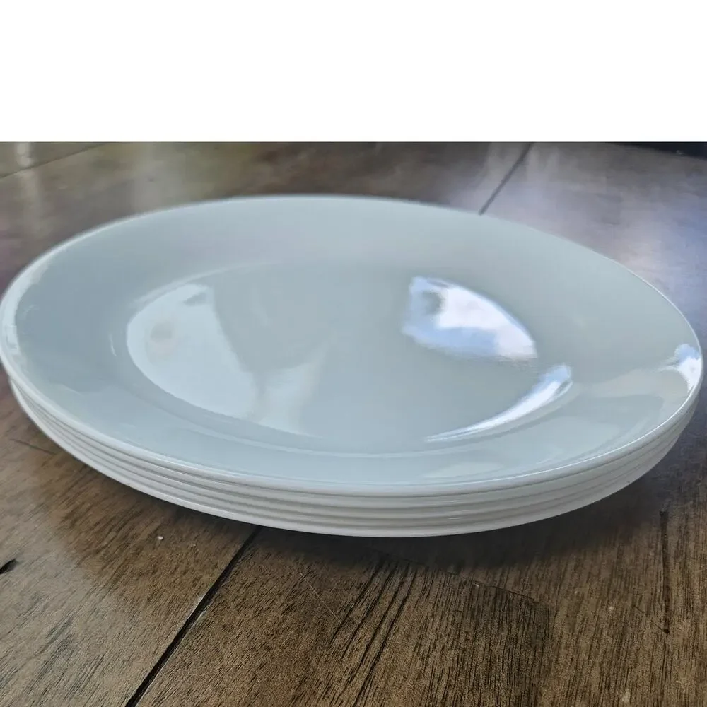 5 Corelle Winter Frost 10